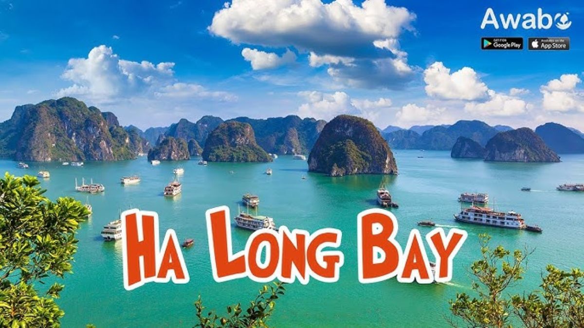 Thuê Xe 16 chỗ Hà Nội đi Hạ Long