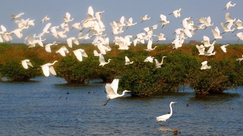 Thuê Xe 16 Chỗ Hà Nội đi Nam định