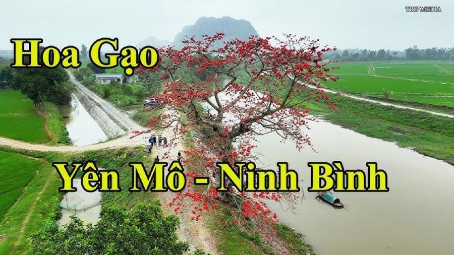 taxi nội bài đi yên khánh ninh bình 