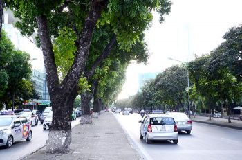 Taxi Ba Đình Hà Nội đi khắp Các Tỉnh