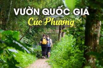 Thuê Taxi Nội Bài đi Cúc Phương Ninh Bình giá rẻ